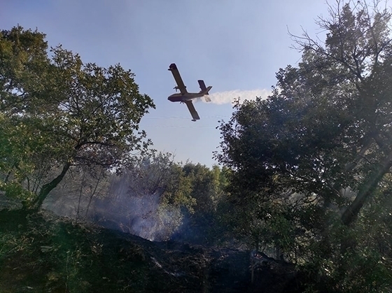 Δράσεις πυροπροστασίας