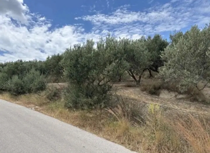 Οδικό δίκτυο