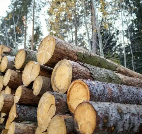 Καυσόξυλων