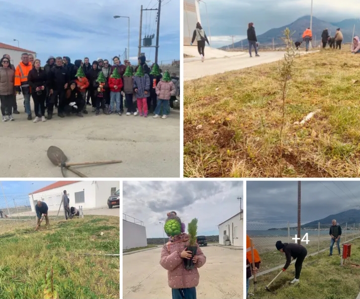 Δράση δενδροφύτευσης