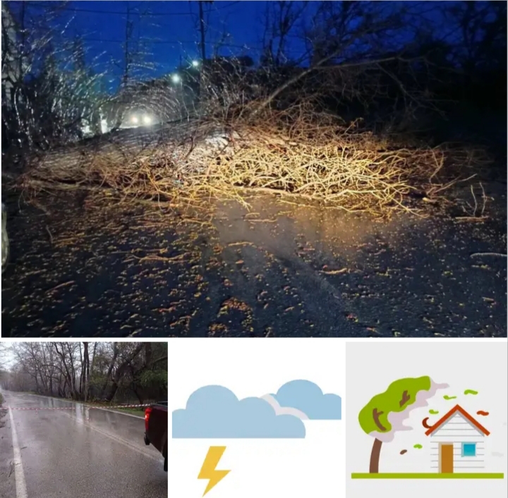 ΑΠΑΓΟΡΕΥΣΗ ΔΙΕΛΕΥΣΗΣ ΤΗΣ "ΠΛΑΤΙΑΣ"