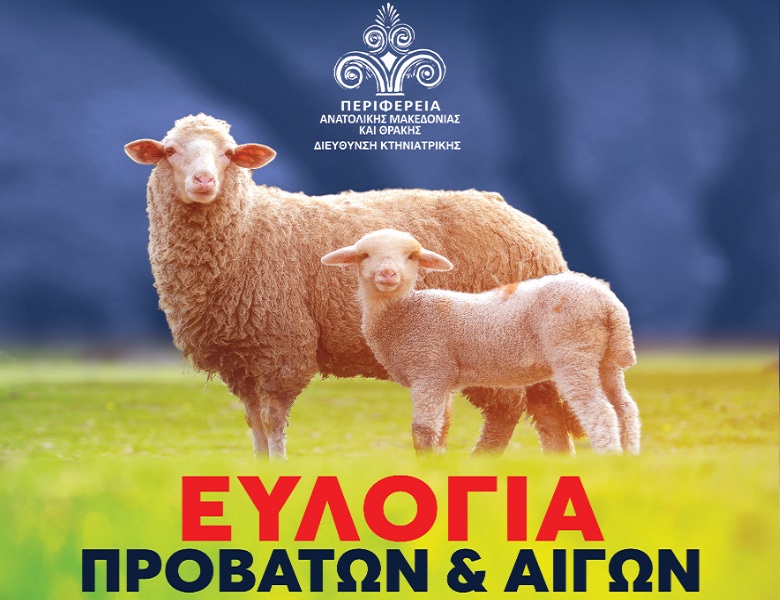 Περιφέρεια Ανατολικής Μακεδονίας και Θράκης ευλογιά