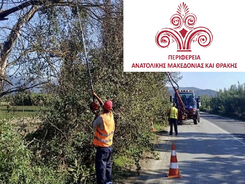 εργασίες καθαρισμού της παρόδιας βλάστησης