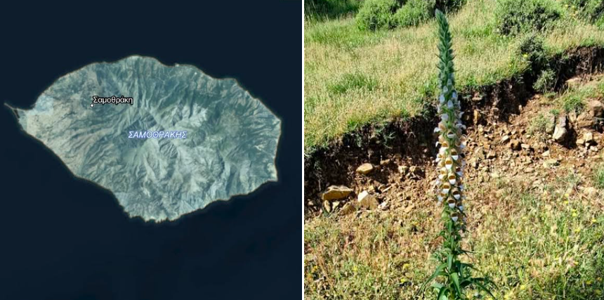 Προσκληση Ζήτημα του ιδιοκτησιακού καθεστώτος