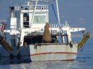 Ινστιτούτο Θαλάσσιας Προστασίας «Αρχιπέλαγος»: Έκθεση στην Ευρωπαϊκή Εισαγγελία για την Αλιεία - Ας ανοίξει η Συζήτηση επί της Ουσίας, 52 εκατ. € σε άσχετες εμπορικές δραστηριότητες - Σχόλιο i-samothraki.gr Αλιεία Ινστιτούτο Θαλάσσιας Προστασίας «Αρχιπέλαγος»