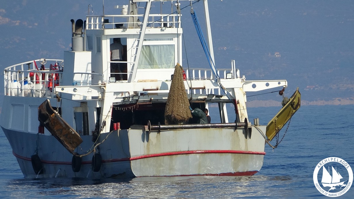 Αλιεία Ινστιτούτο Θαλάσσιας Προστασίας «Αρχιπέλαγος»